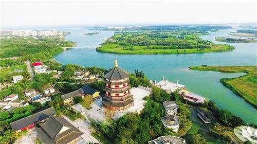 玛丽阿姨