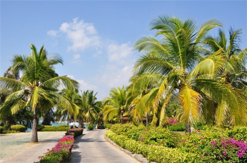 滁州奶茶店太多