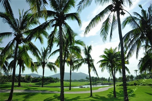 目前初辣酸辣粉加盟都有哪些优势，初辣酸辣粉的利润怎么样