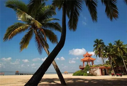 加盟半坡九号老挝咖啡投资需要多少成本