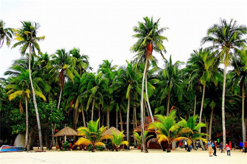 加盟古茗奶茶创业前景如何，奶茶加盟连锁品牌哪个好