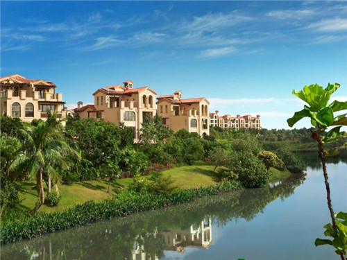 橡胶树种植公司名称起名（橡胶树种植公司名称起名怎么起）