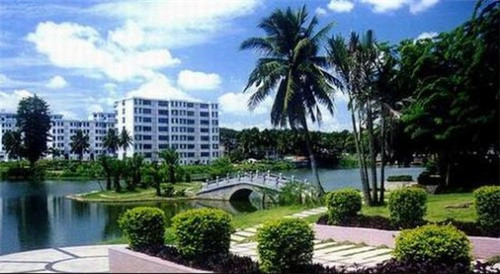 减肥吃炒葱花蛋好吗会胖吗（葱花炒蛋上火吗）